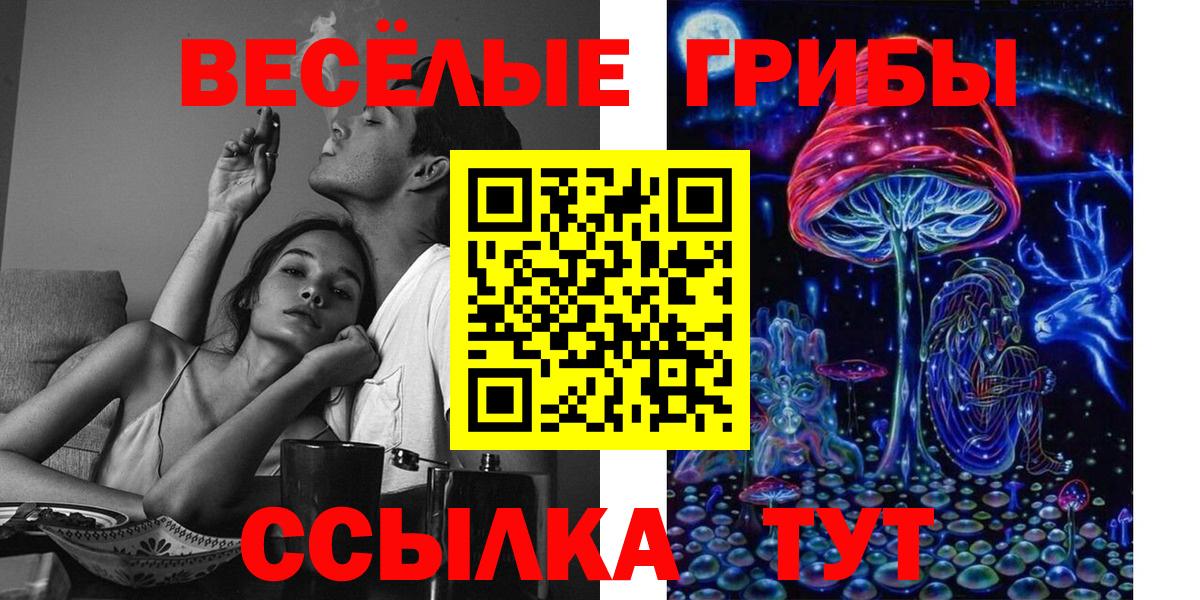 Аргун  что такое наркотик  Вход с VPN  Псилоцибиновые грибы Psilocybine cubensis  Галлюциногенные грибы прущие грибы 
